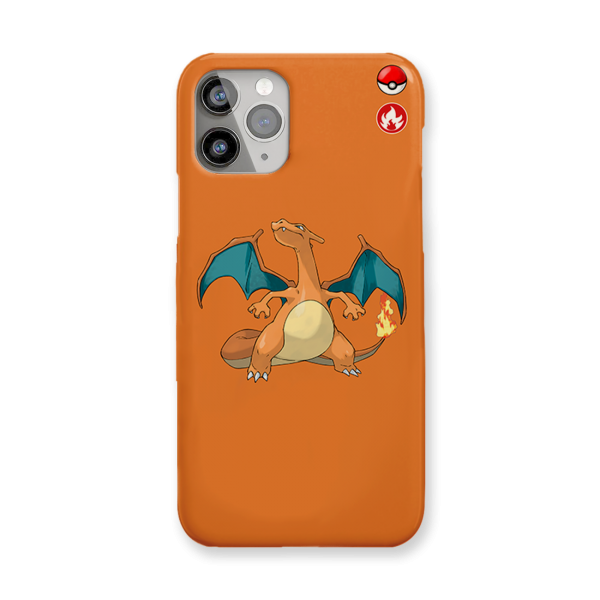 Case Charizard POK-006-C